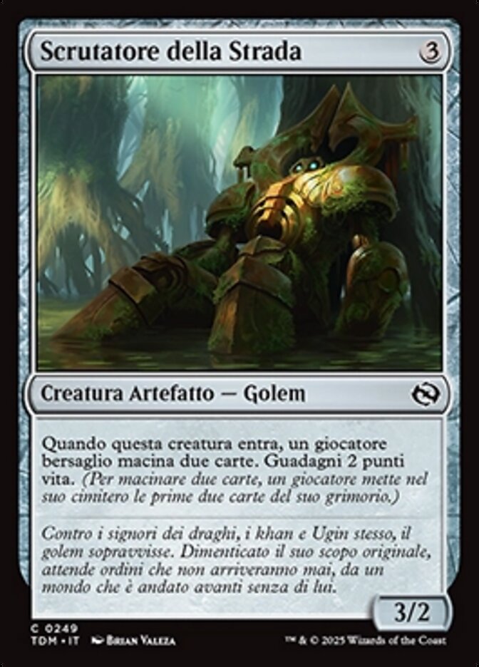Scrutatore della Strada