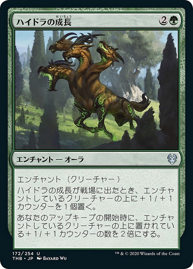 ハイドラの成長