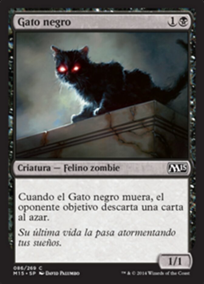 Gato negro