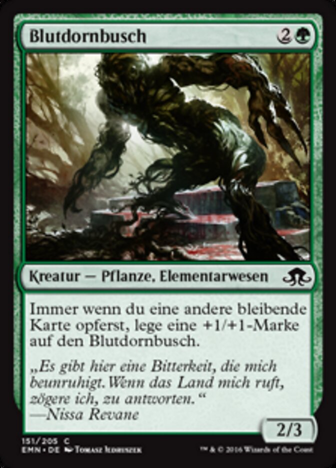 Blutdornbusch