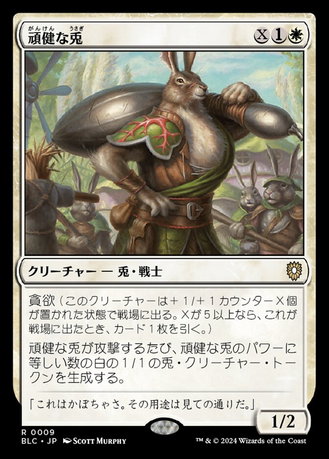 頑健な兎