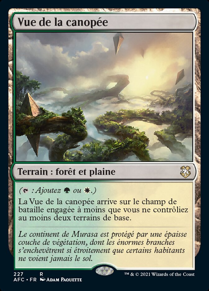 Vue de la canopée