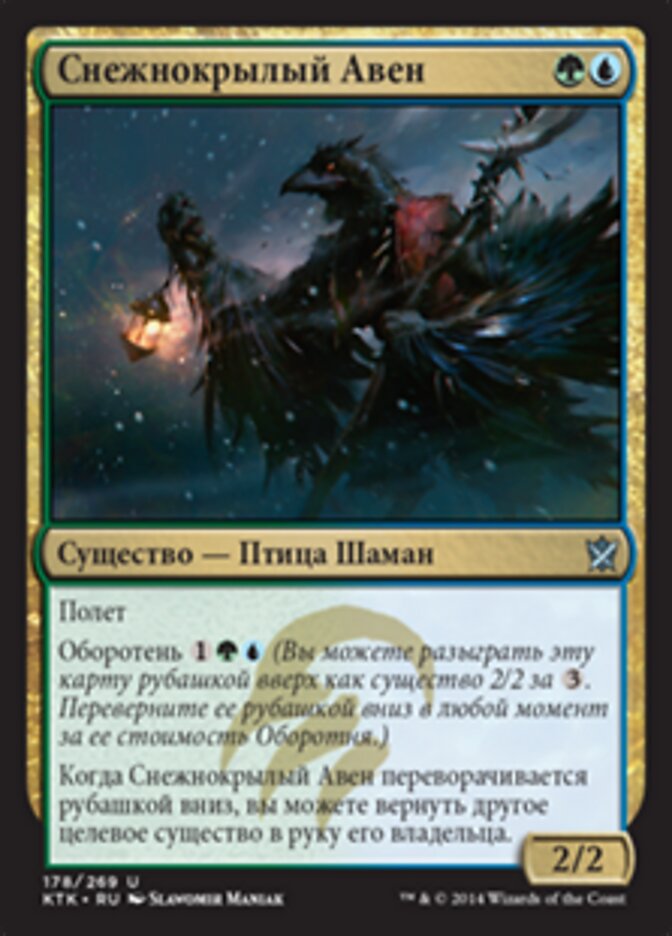 Снежнокрылый Авен