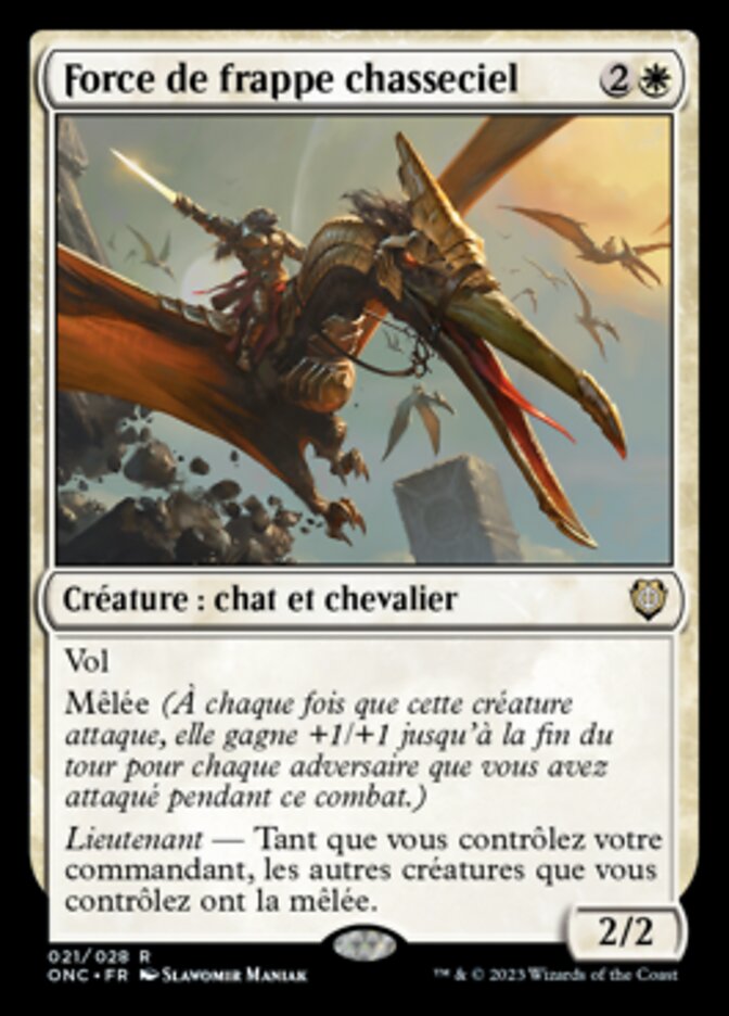 Force de frappe chasseciel