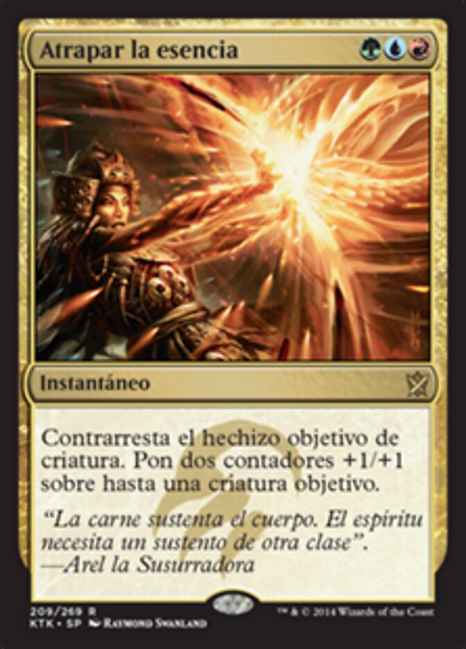Atrapar la esencia