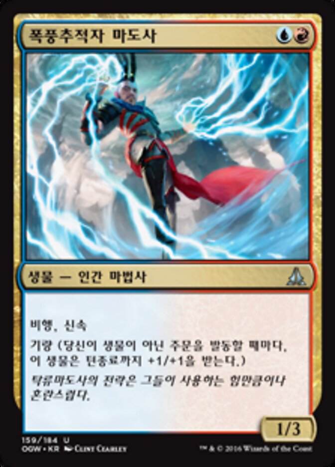 폭풍추적자 마도사