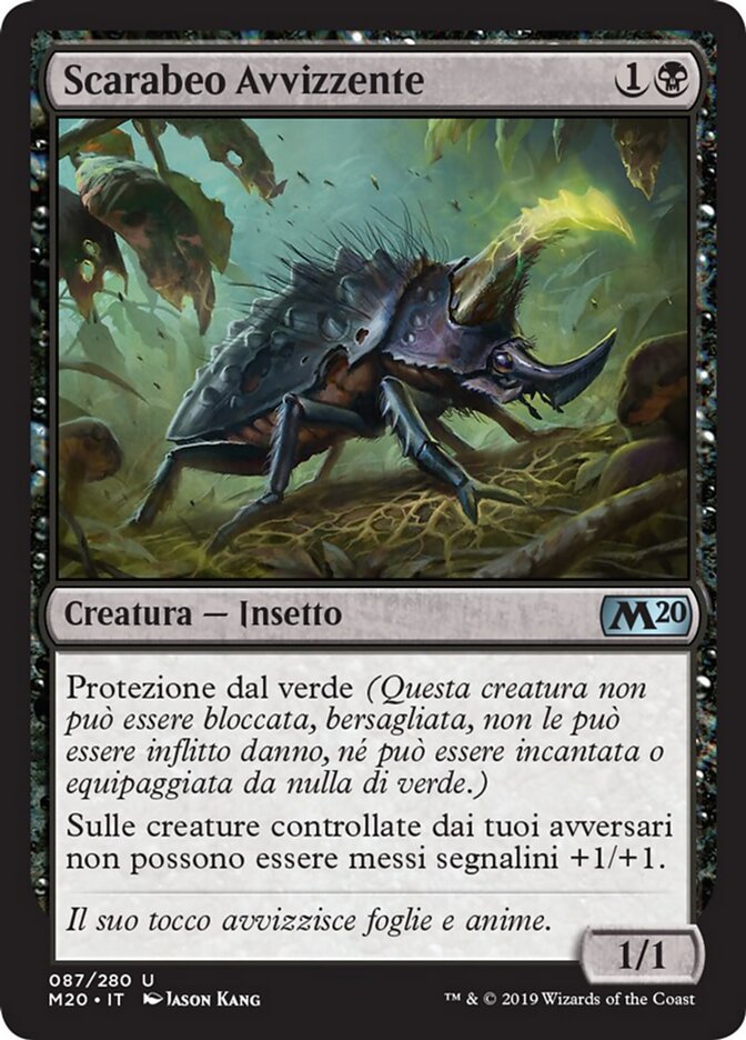 Scarabeo Avvizzente