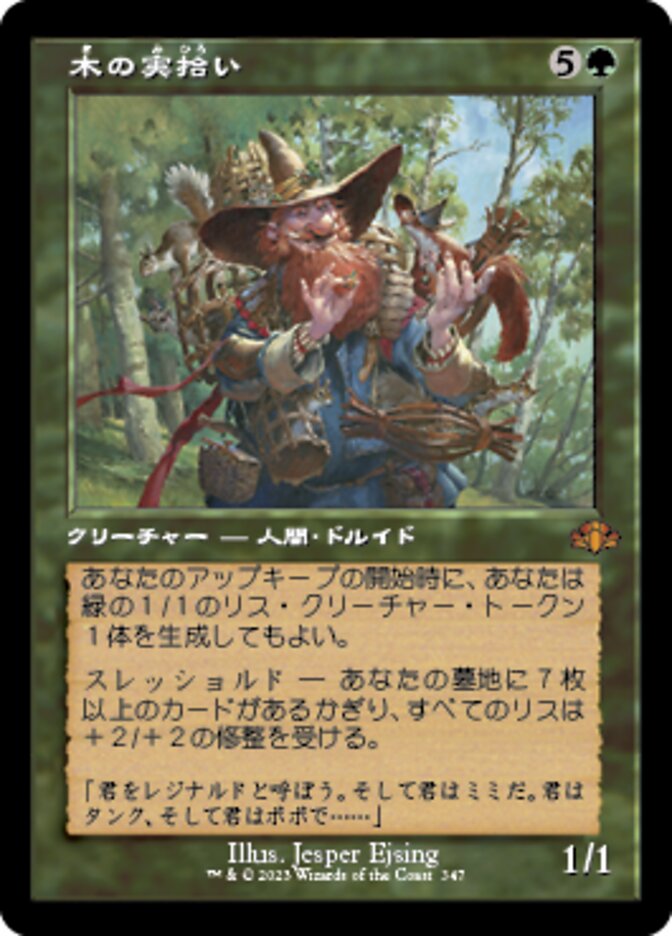 木の実拾い