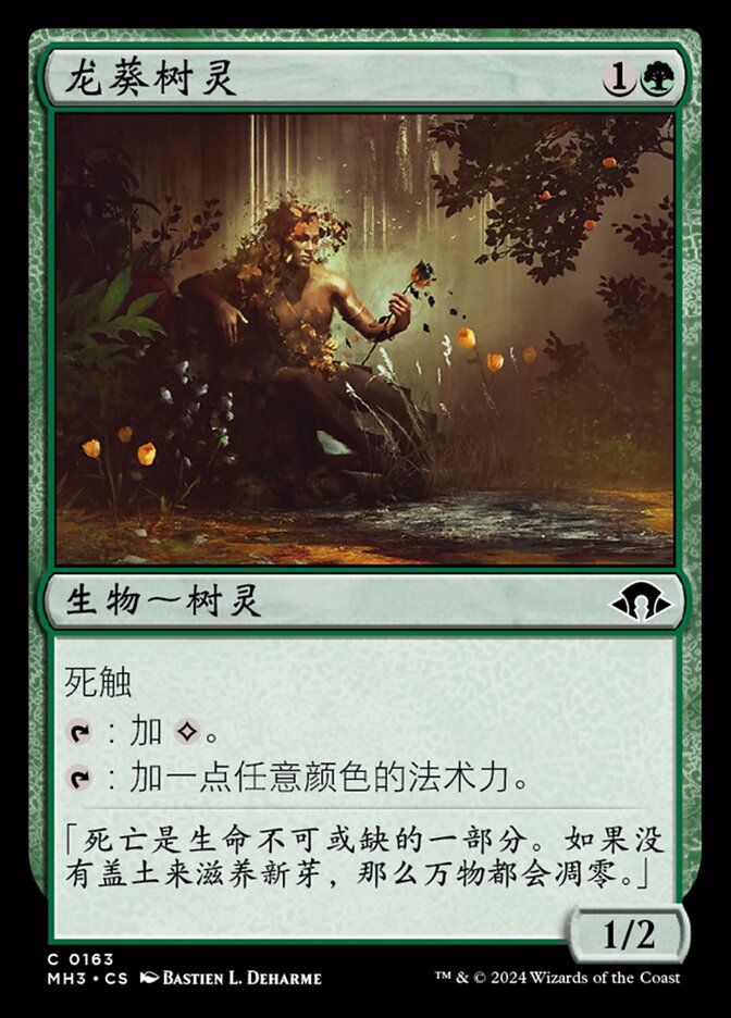 龙葵树灵