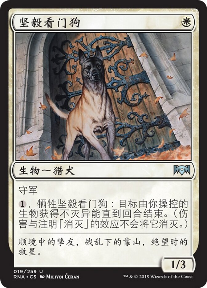 坚毅看门狗