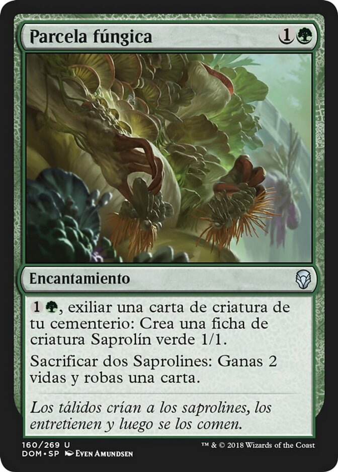Parcela fúngica