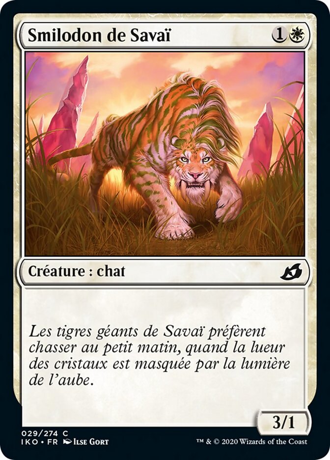 Smilodon de Savaï