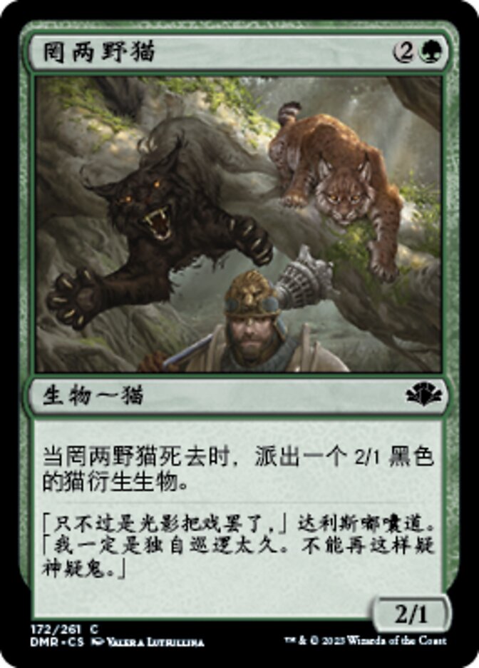 罔两野猫