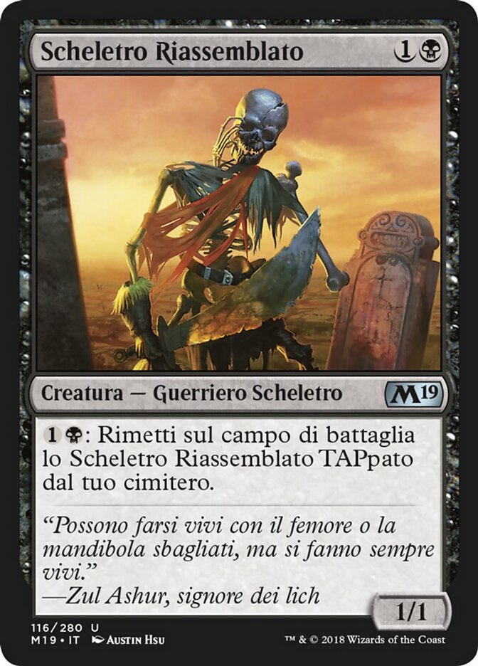 Scheletro Riassemblato