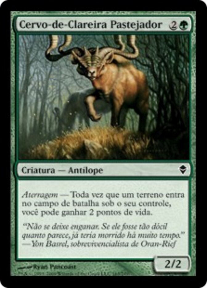 Cervo-de-Clareira Pastejador