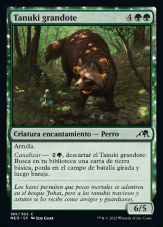 Tanuki grandote