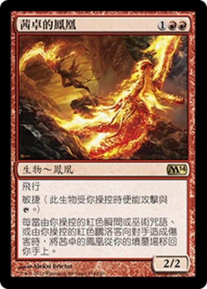 茜卓的鳳凰