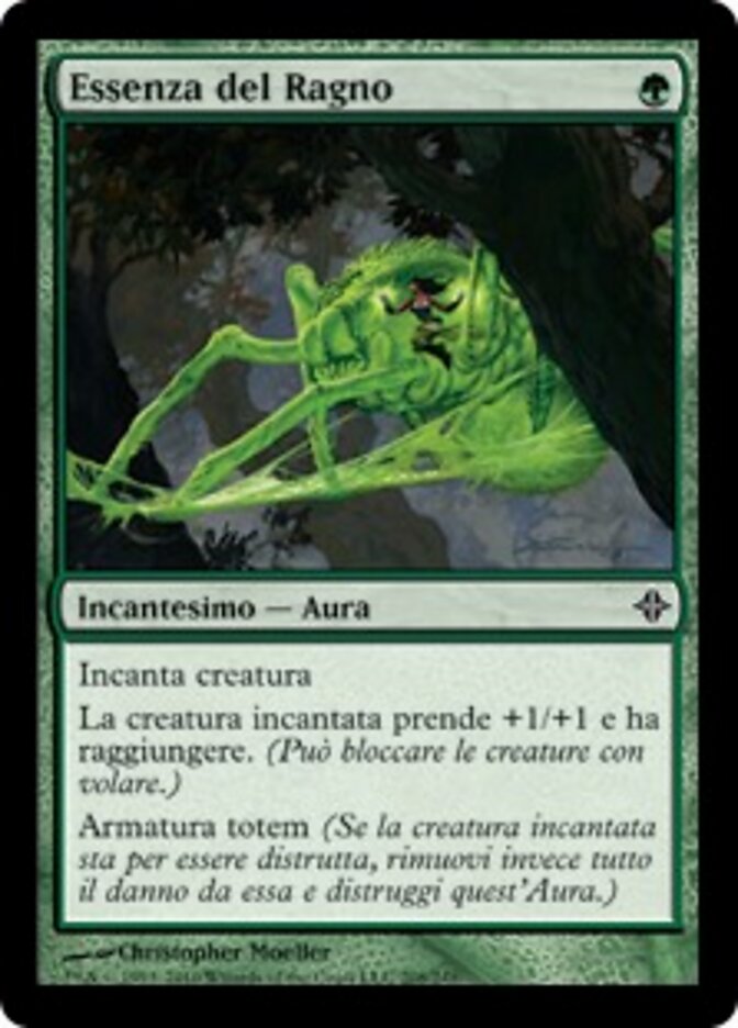 Essenza del Ragno