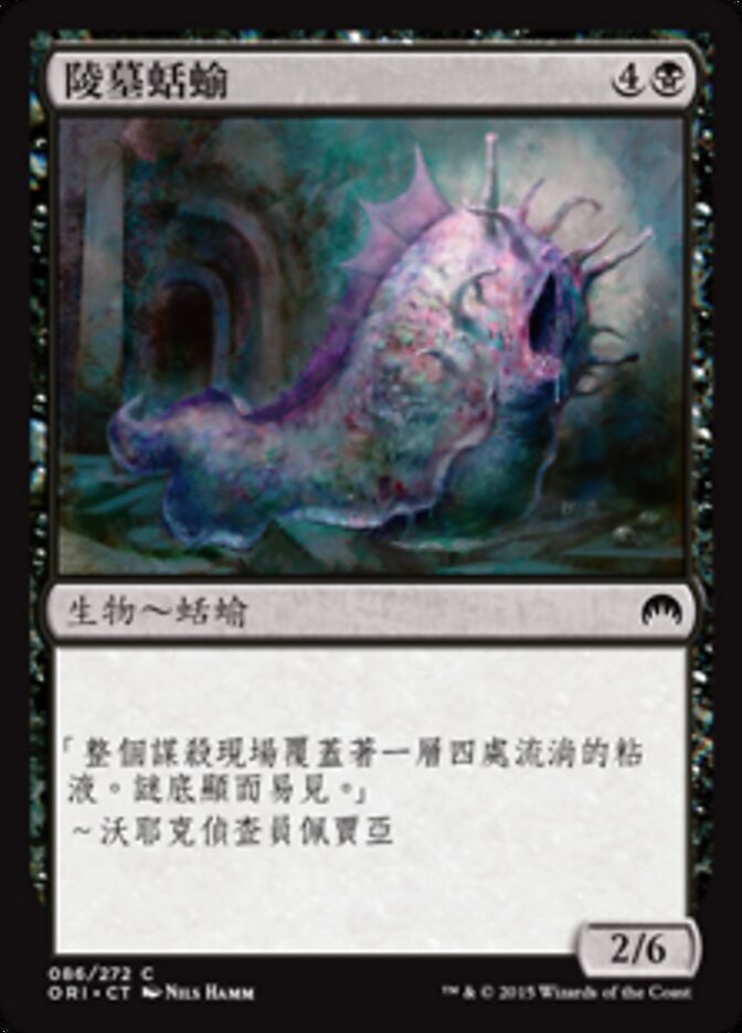 陵墓蛞蝓