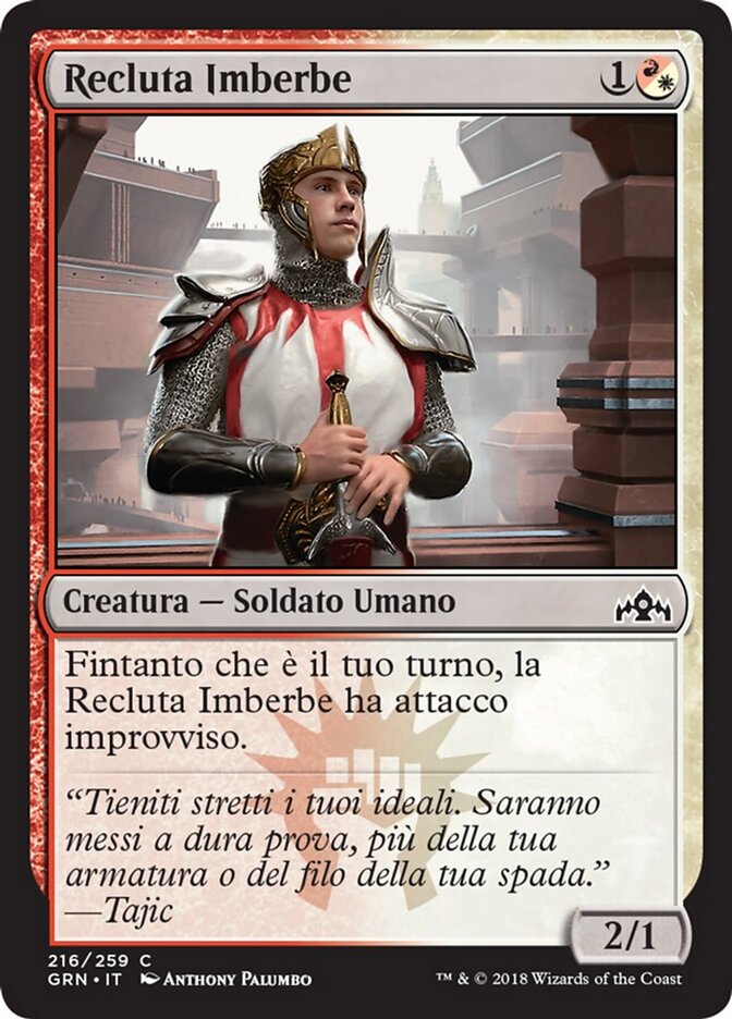 Recluta Imberbe