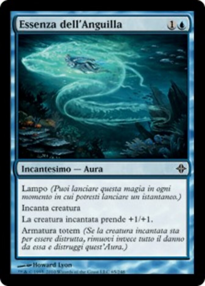Essenza dell'Anguilla