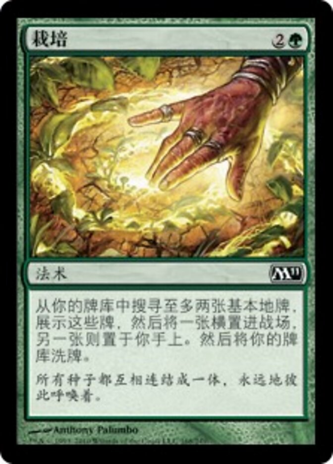 栽培