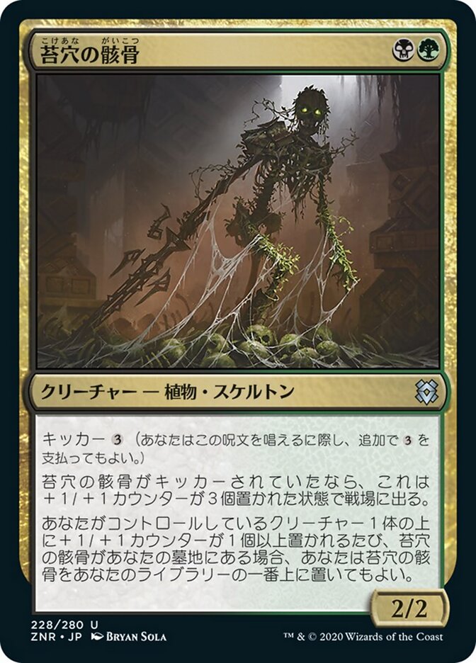 苔穴の骸骨