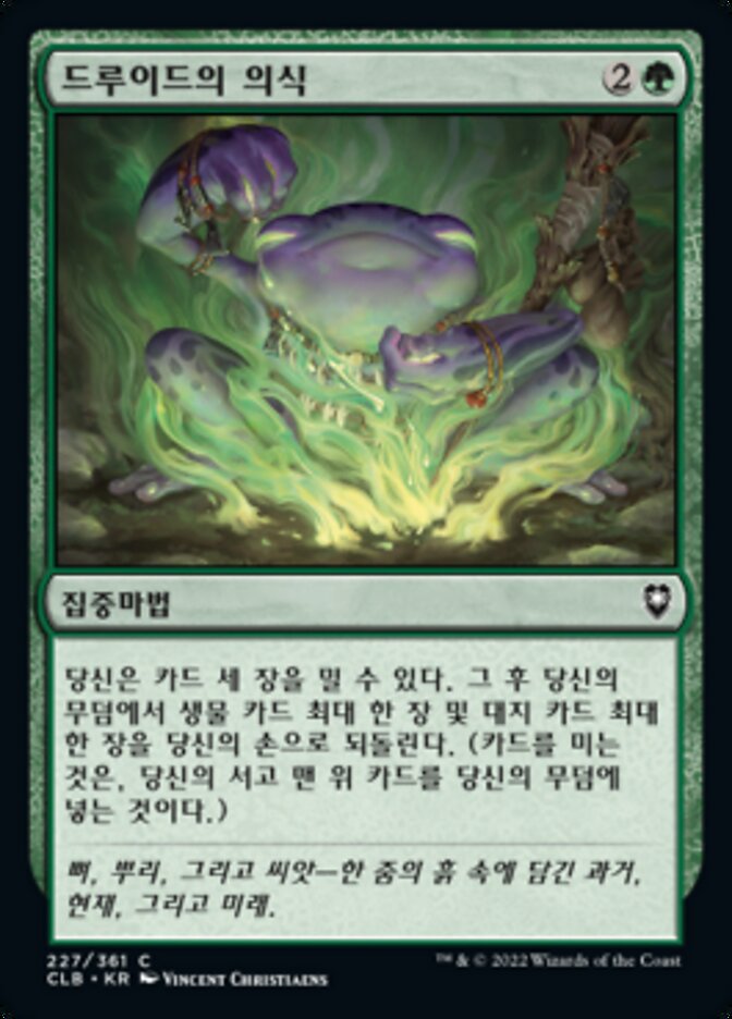 드루이드의 의식