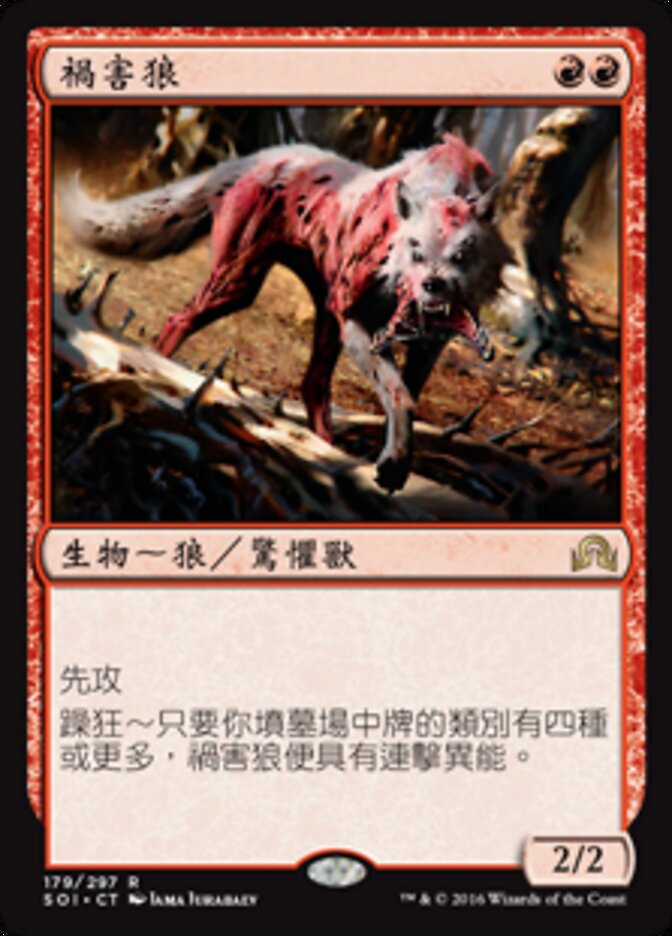禍害狼