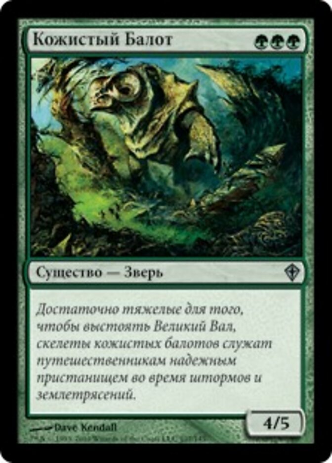 Кожистый Балот