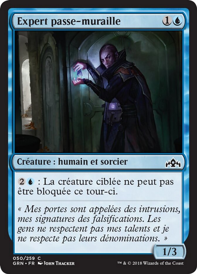 Expert passe-muraille