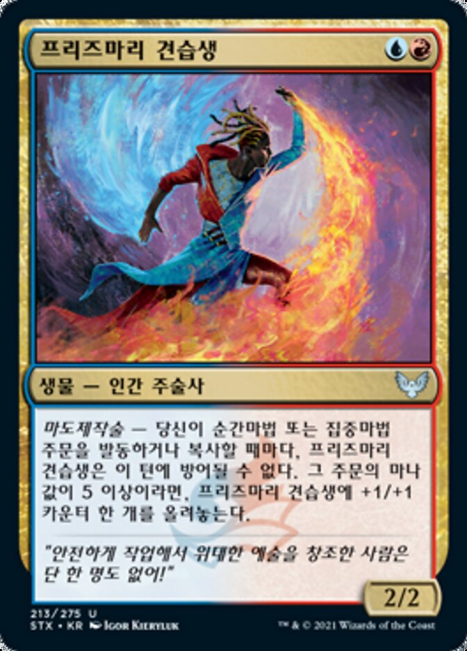 프리즈마리 견습생
