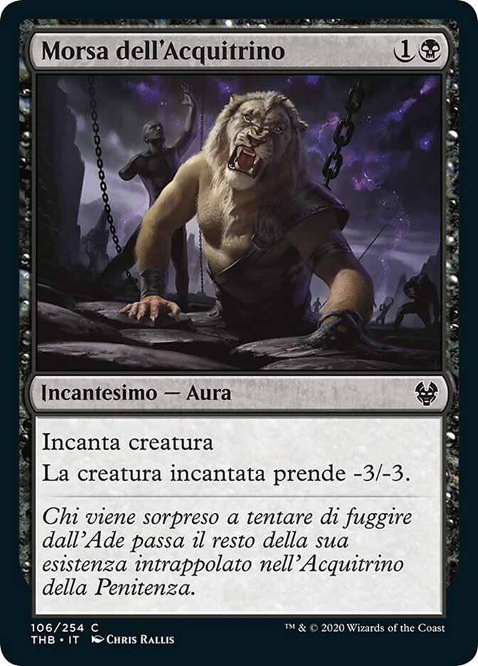 Morsa dell'Acquitrino