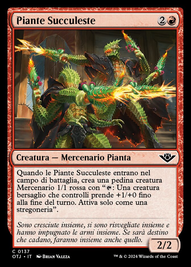 Piante Succuleste