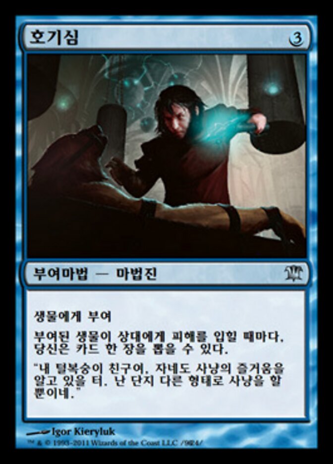 호기심