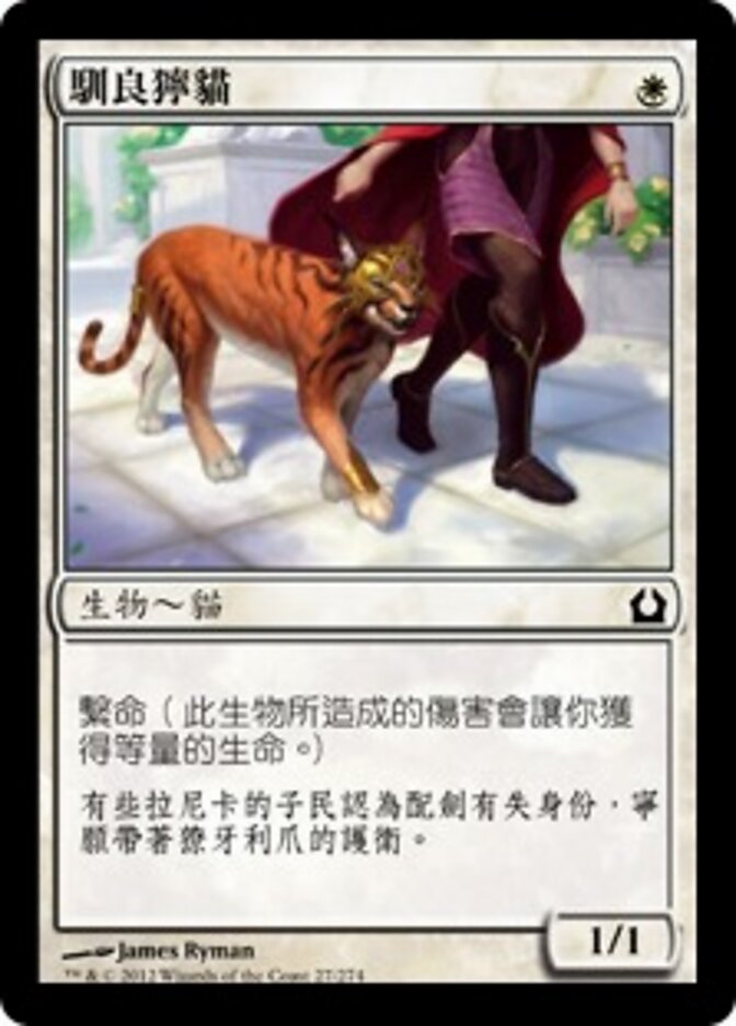馴良獰貓