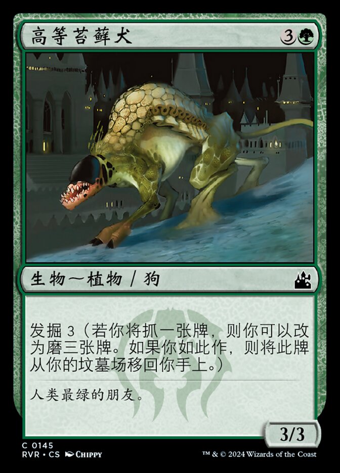 高等苔藓犬