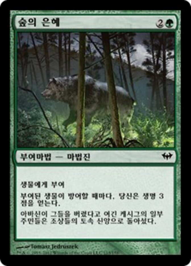 숲의 은혜