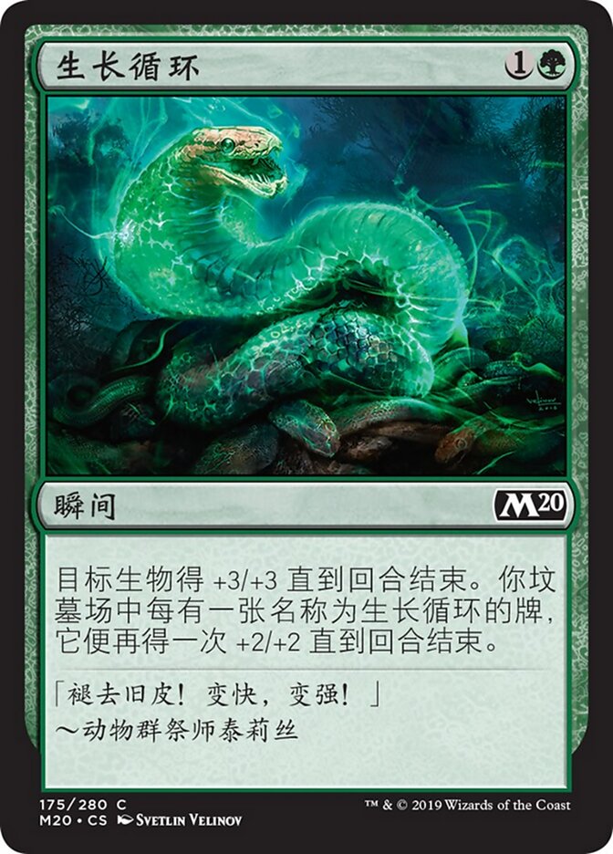 生长循环
