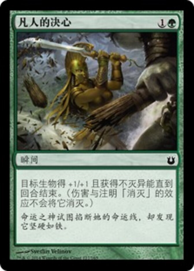 凡人的决心