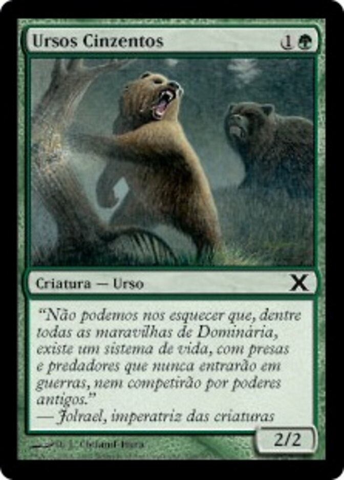 Ursos Cinzentos