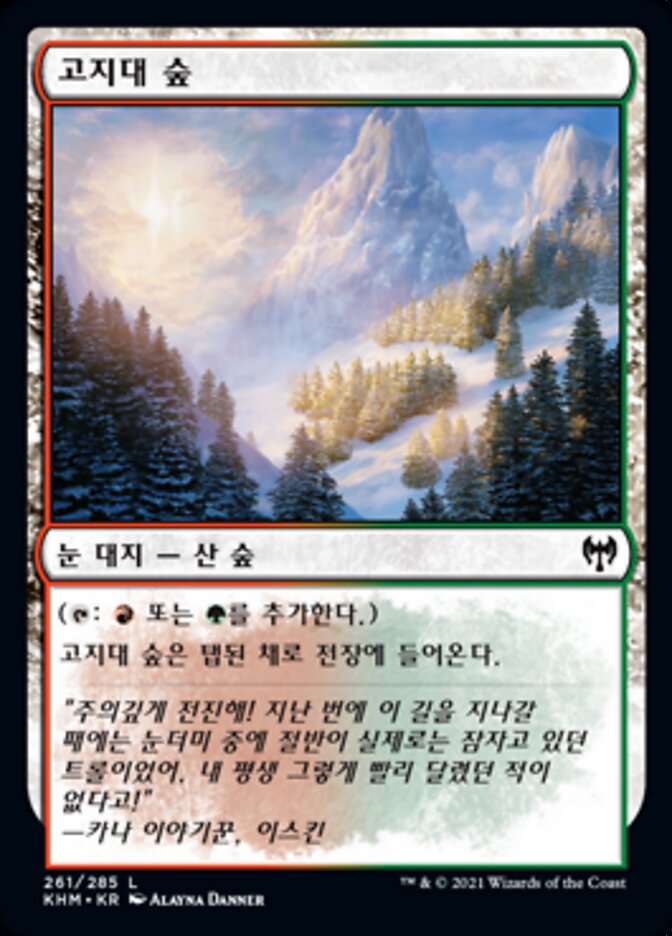고지대 숲