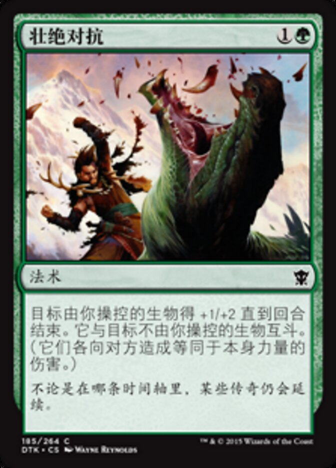 壮绝对抗