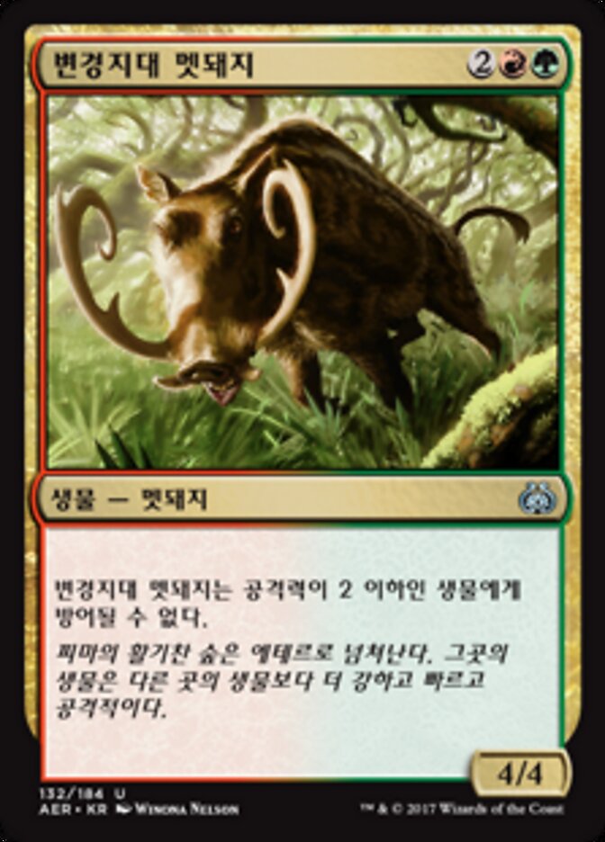 변경지대 멧돼지