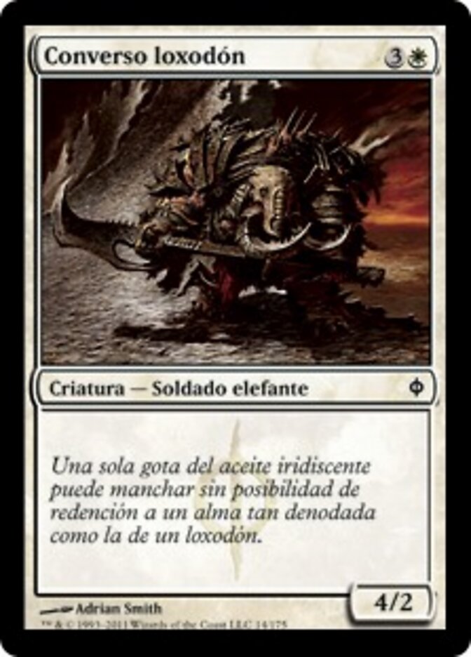 Converso loxodón