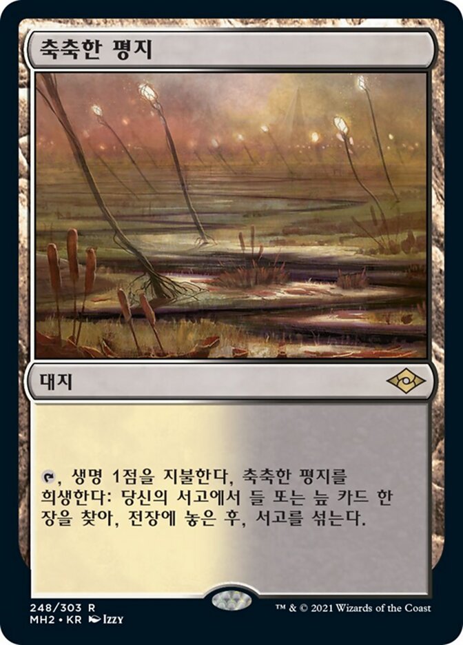 축축한 평지