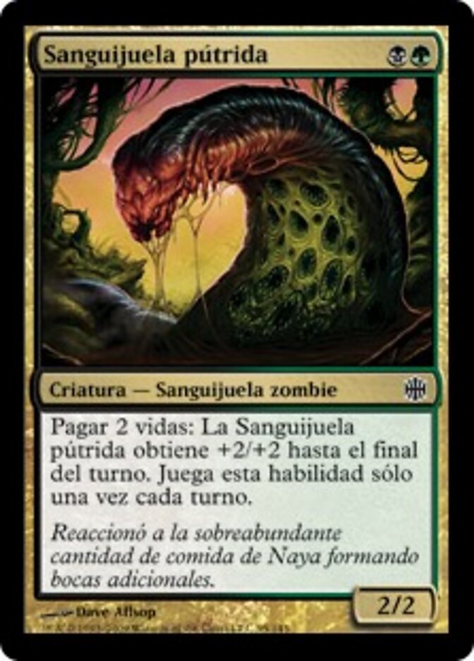 Sanguijuela pútrida