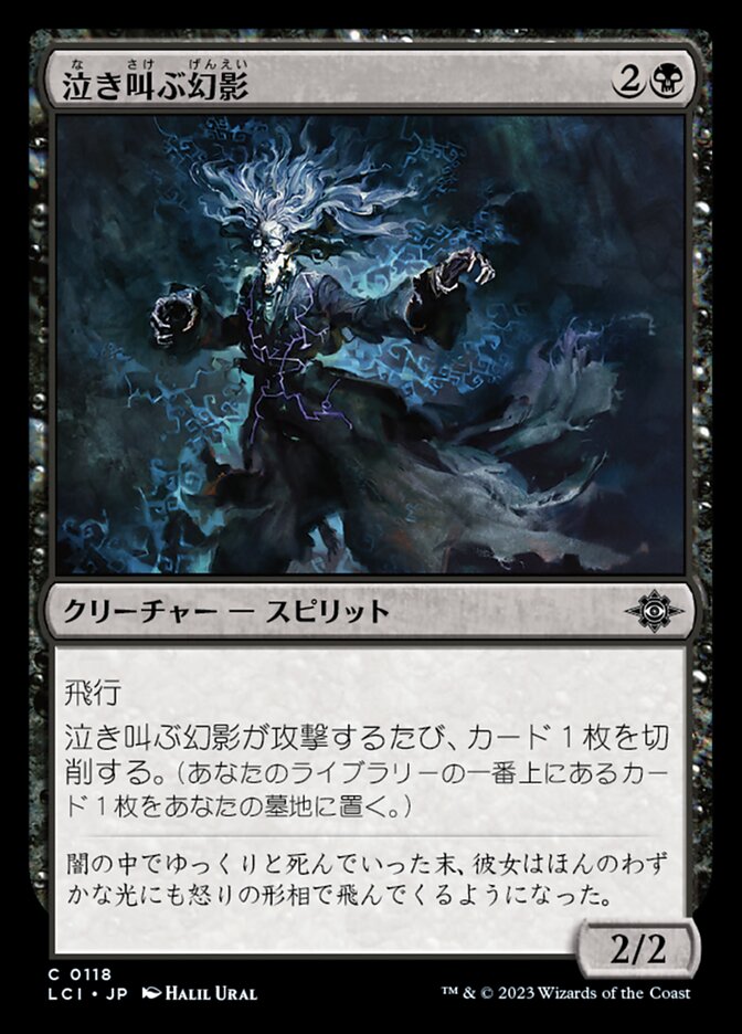 泣き叫ぶ幻影