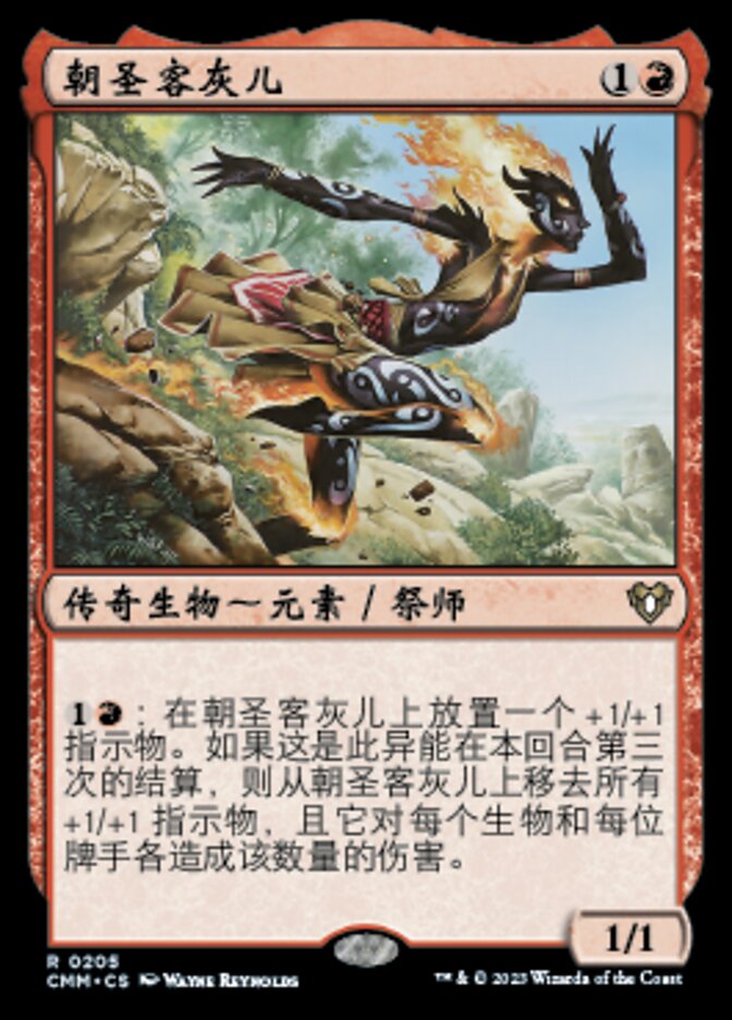 朝圣客灰儿