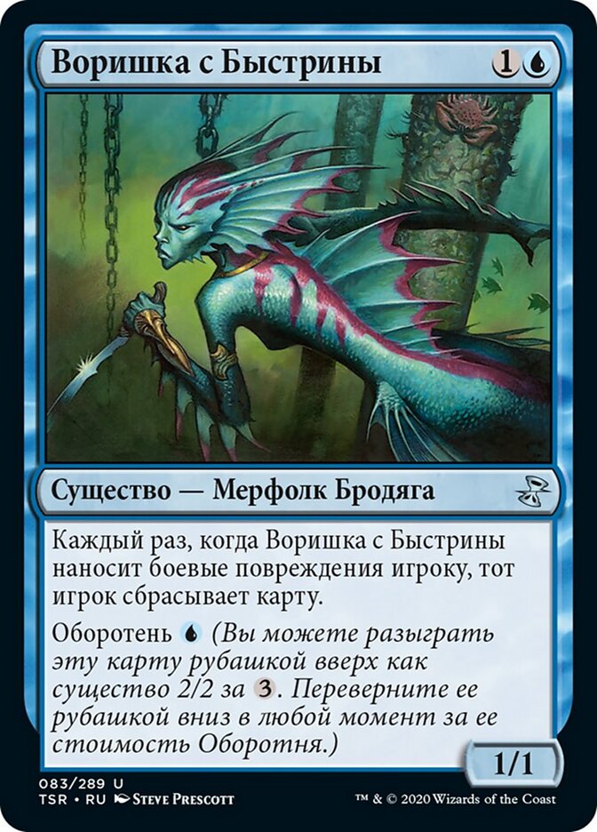 Воришка с Быстрины